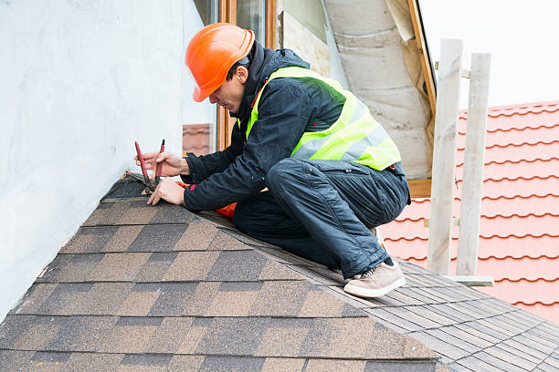 Best Roof Gutter Cleaning  in Horn Lake, MS